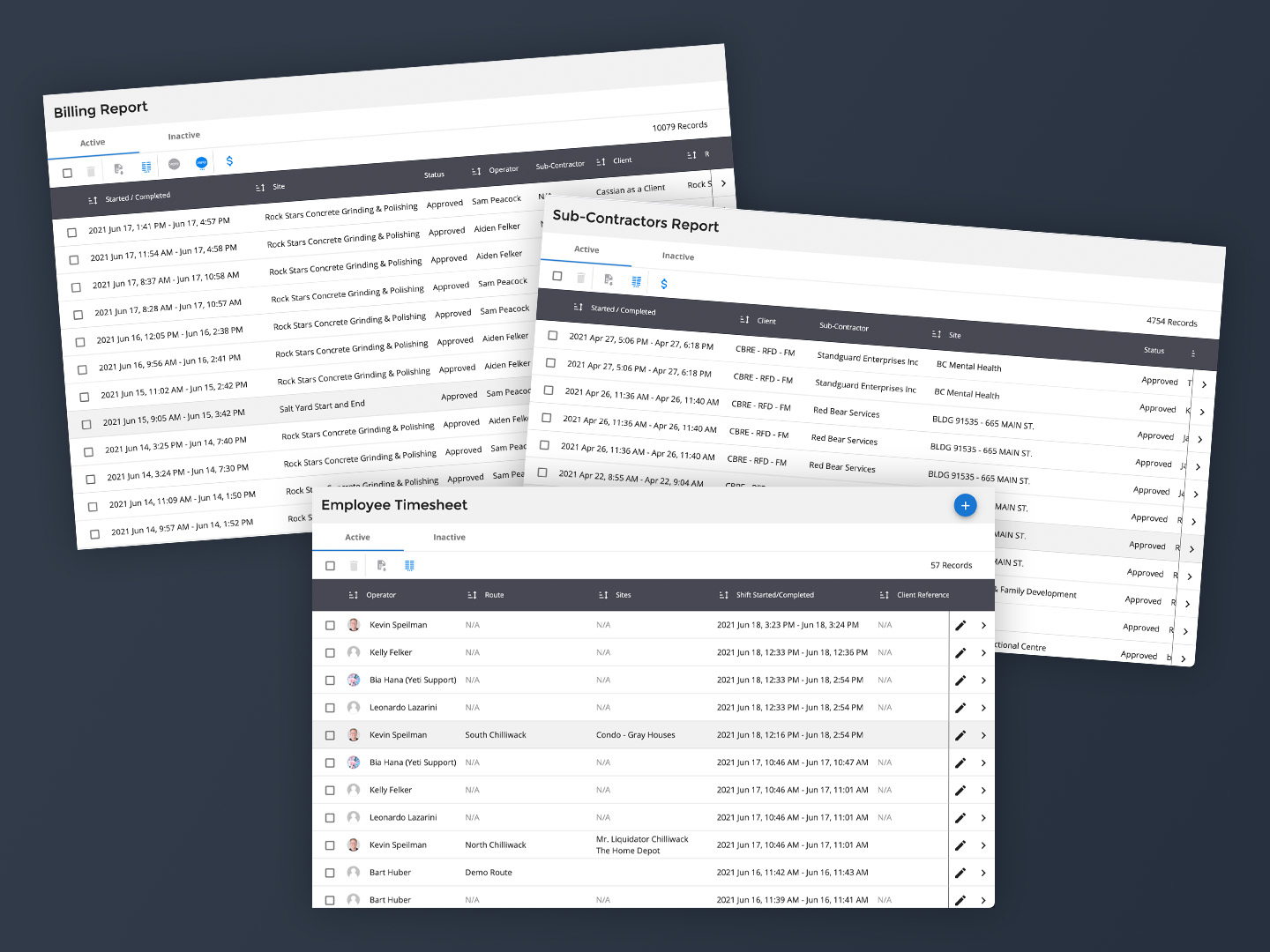 snow plow software - reporting